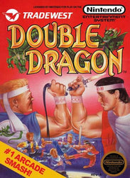 Double Dragon [NES]